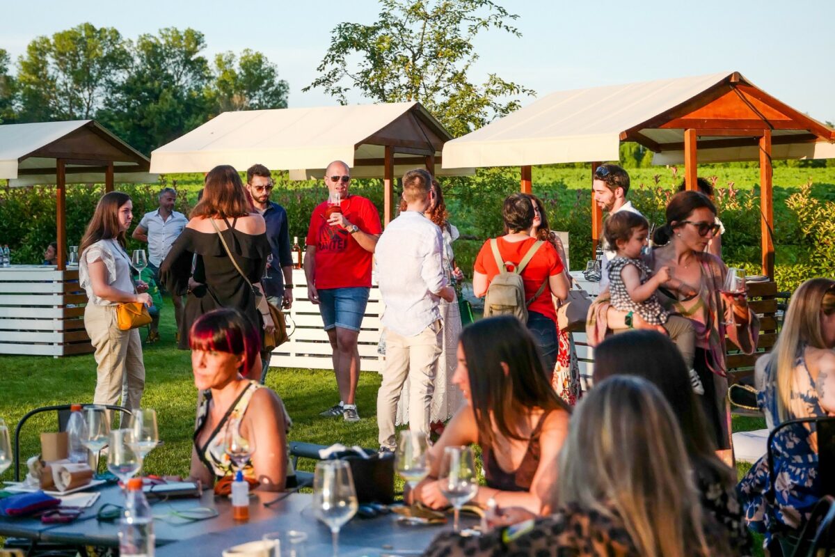 Un weekend dedicato al vino: assaggi illimitati alle porte di Bologna