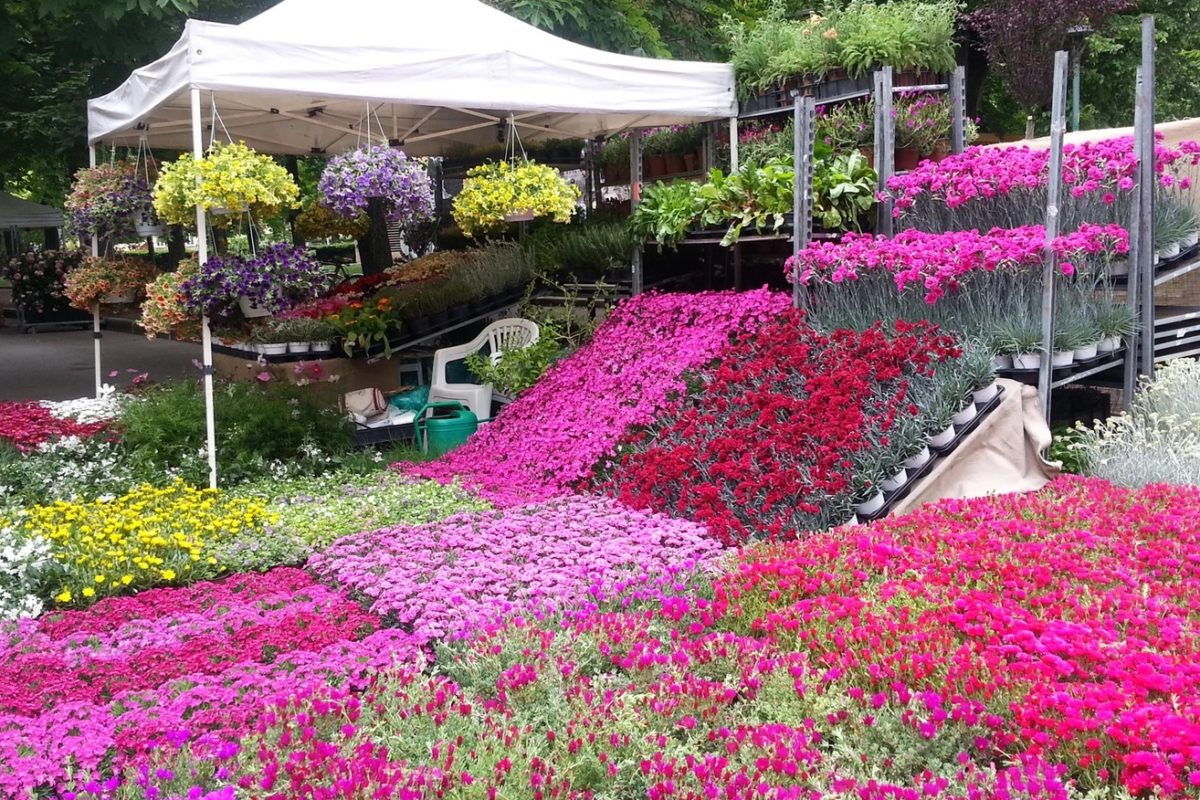 È tutto pronto per la mostra mercato di fiori e artigianato a Bologna